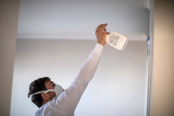 Best Mold Testing  in Turners Falls, MA